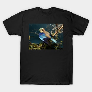 Natural environment diorama - bird with blue wings T-Shirt